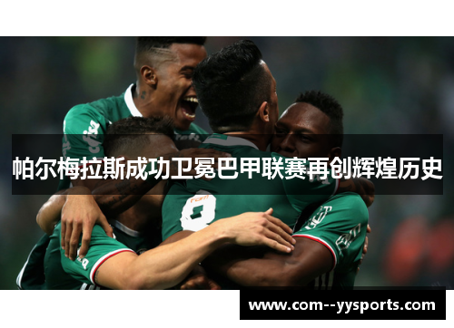 帕尔梅拉斯成功卫冕巴甲联赛再创辉煌历史 帕尔梅拉斯成功卫冕巴甲联赛再创辉煌历史