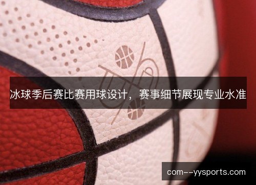 冰球季后赛比赛用球设计，赛事细节展现专业水准